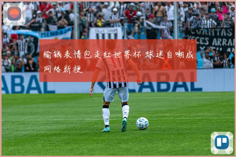 输钱表情包走红世界杯 球迷自嘲成网络新梗